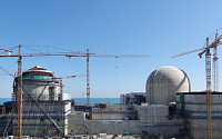 한·영 원전산업 협력 강화…원전해체·SMR 등 협력 방안 논의