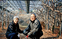 “귀촌으로 여유로운 삶 찾아” 충북서 대추 농사로 활로 찾은 귀농인