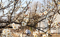 [내일 날씨] 경칩에 찾아온 포근한 봄날…서울 16도