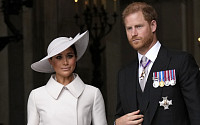 영국 해리왕자, 딸 릴리벳에 ‘공주’ 호칭 첫 사용...세례식엔 왕실 불참