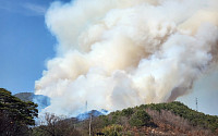 [속보] 합천 산불 확산 ‘대응 3단계’ 발령…6개 마을, 214명 대피