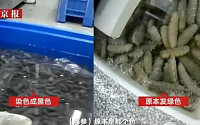 中수산업체, 붕사 살균제로 해삼·전복 세척…한국에 수입됐나
