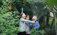 관악구 “도시농업공원·유아숲체험원에서 초록빛 힐링하세요”