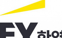 “EY한영, 공인회계사법 위반 소지 있다”…회계사 금융위 민원 제기