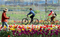 “봄날 라이딩 어떠세요”…서울 자치구, 자전거 세차·보험 등 지원