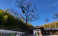 서울 내 한강공원·한옥마을서 ‘나만의 결혼식’ 올리세요