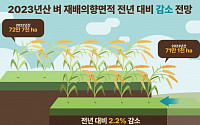 올해 '벼농사 짓겠다' 2.2% 감소…쌀 생산량 368만 톤 전망