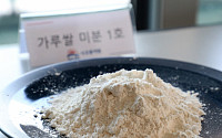 '겉쌀속밀'의 매력…쌀 수급·밀 수입 해결할 '신의 한 수'[신의 선물 가루쌀②]