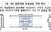 “사모CB 악용 교란사범 엄단”…금감원, 대용납입 통한 사모 CB·BW 발행 공시 개선