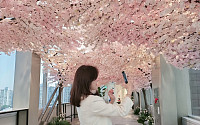 [포토] 신세계백화점, “도심 속 벚꽃 길 구경 오세요”