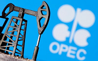 맥널리 래피던 대표 “OPEC+ 기습 감산, 유가 붕괴 보험든 것”