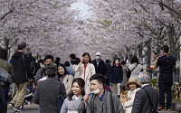 “향후 6~7년이 마지막 기회” 일본, 저출산 극복에 안간힘