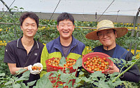 쿠팡, 폐기 위기 처한 토마토 농가 돕는다