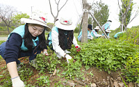 KT, ‘지구의 날’ 맞아 한강공원서 봉사활동 진행