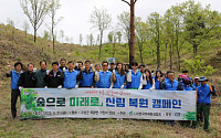 KCC, 지구의 날 기념 강원도 고성군서 숲 보존 활동