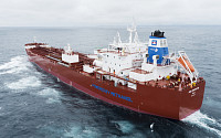 메탄올 운반 케미컬 수송선, 선박연료공급업 겸업 허용