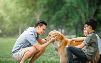 “애견ㆍ애묘인 잡아라” 반려동물 서비스 증가