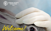 한국 HSI, “부처 간 협업 통한 동물대체시험 확대 환영”