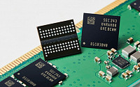 ‘게임체인저’ DDR5 개발 경쟁…삼성ㆍSK, 불황 돌파구 될까