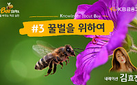 KB금융, '꿀벌을 위하여' 영상 공개…&quot;생태계 보전 위해 꿀벌의 날개짓에 귀기울여 달라&quot;