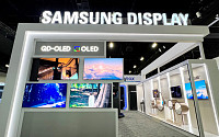 프리미엄 TV 시장 커진다…삼성·LG 올해 전략은?