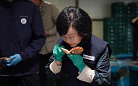 식약처, 일본산 수입식품 안전관리 철저…“방사능 불안 없게 철저히 검사”