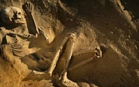 350만년 전 '신종 인류' 화석 발견