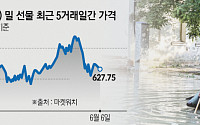 우크라이나 댐 폭발에 곡물 가격 급등…커지는 애그플레이션 공포