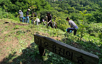 유진투자증권, 1억보 걷기로 노을공원에 500그루 나무 기부