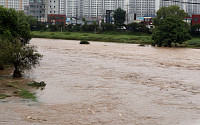광주·전남 200㎜ 이상 폭우…피해 속출