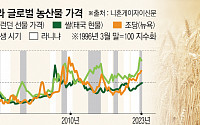 4년 만의 엘니뇨에 식량 가격 급등 조짐…개도국 식량난 위험 고조