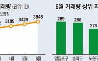 서울 집값 견인차는 재건축 단지?…거래량·가격 상승 ‘집중’