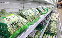 서울시, 오이 3만개 36% 할인 판매…“밥상 물가 잡는다”
