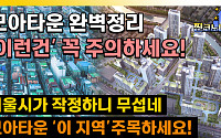 [찐코노미] 서울시 모아타운 관심 있다면 '이곳'에 주목하라