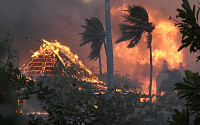 화염에 뒤덮인 하와이 마우이...산불로 53명 사망