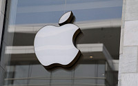 애플, 인도서 아이폰15 생산 시작…중국으로부터 공급망 다각화