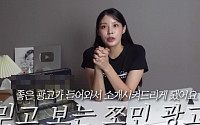 조민, 유튜브서 홍삼 유료 광고 “믿고 보는 쪼민 광고”