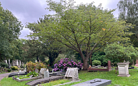 “숲길 거닐며 고인 추억 나눠요”…공원 묘지 조성한 영국·오스트리아 [해피엔딩 장례]