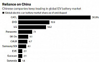 중국 CATL·BYD, 글로벌 전기차 배터리 시장 점유율 50% 넘어