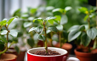 포스코이앤씨, 커피 찌꺼기 활용 조경 토양개량제 개발