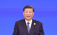 시진핑, 올해 부패 고위관료 역대급 숙청…“권력 위협 차단 강화”