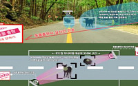 인공지능 활용해 로드킬 막는다…한려해상국립공원 19호선 국도 시범 운영
