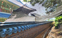 폭우로 무너진 창덕궁 인정전 담장…복구 완료