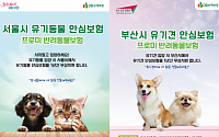 DB손보, 서울시-부산시와 유기동물 입양문화 조성 협력