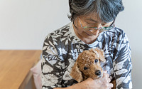 주인도 애완동물도 늙는다… 日, 고령자와 반려견 문제 ‘대두’