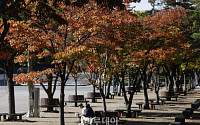 11월 초여름 날씨, 김해는 30도 넘어…이유는?