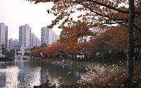 “호수에 펼쳐진 낙엽길 걸어요”…송파구, 가을 명소 4곳 소개