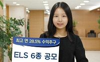 KDB대우證, ELS 6종 공모