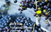 이상 기후에…세계 와인 생산량 62년 만에 최저