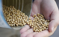 미ㆍ중 정상회담 앞두고 곡물 외교…중국, 미국산 콩 대량 수입
